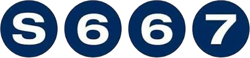 vns667.net Logo